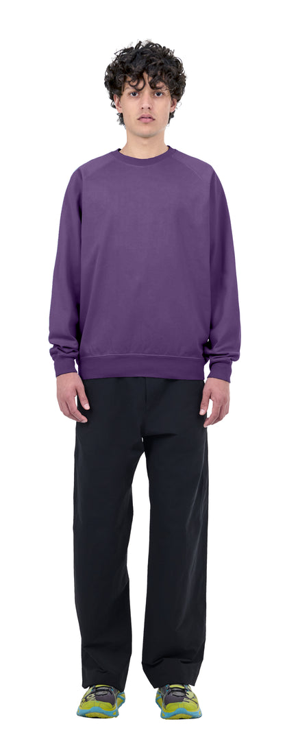 Raglan Sweatshirt, Purple Dawn